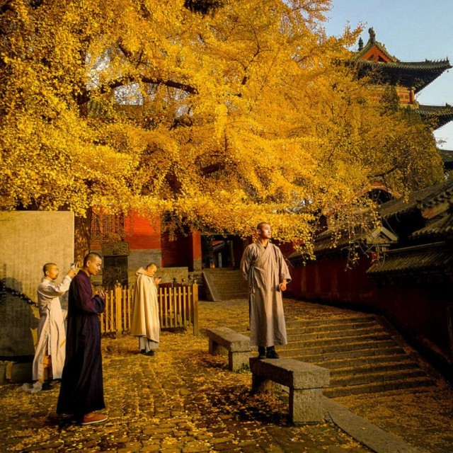 金秋太行 太行大峡谷+郭亮村+云台山+老君山+龙门石窟+少林寺+红旗渠 8天游